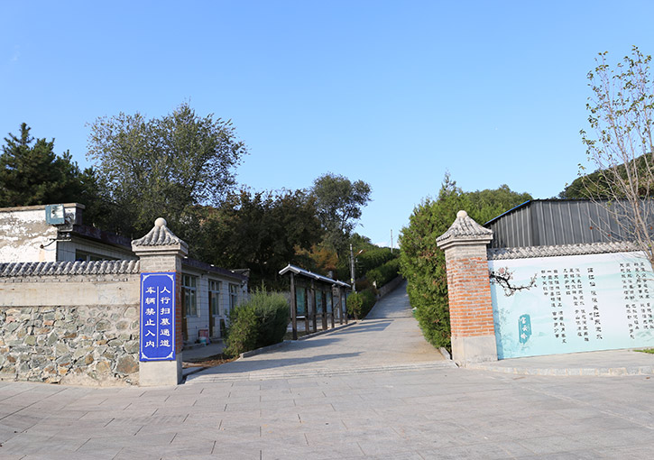 墓区道路
